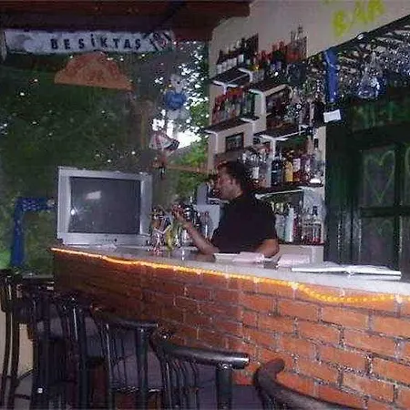 奥扎尔普别墅公寓酒店 3* 达利安